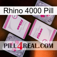 Rhino 4000 Pill 33